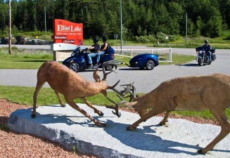 deer-trail-tour-photo1