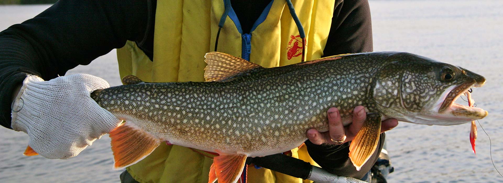 lake-trout-fishing(1)
