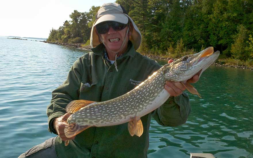 northern-pike-bruce-bay-cottages