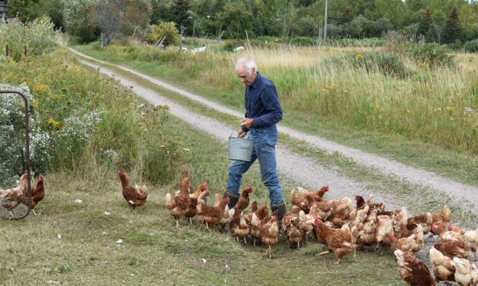 Organic Farming On St. Joseph Island