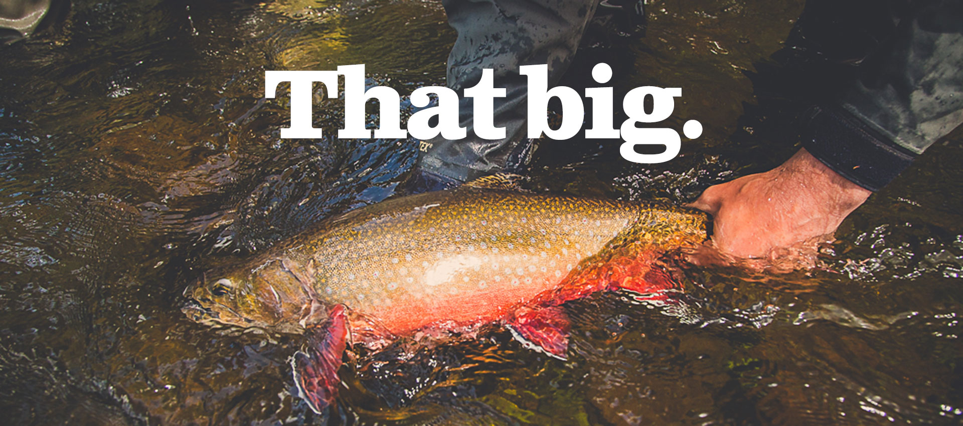 Official Site of Tourism in Algoma Country Northern Ontario, Canada