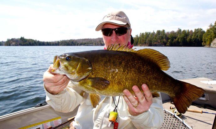 drive-to-bass-main