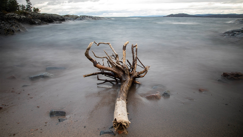 mlortz-lakesuperior-driftwood