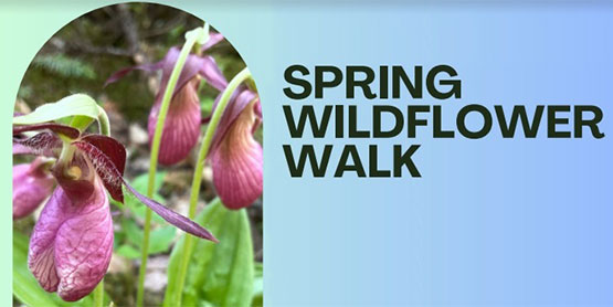 SpringWildflower.Event