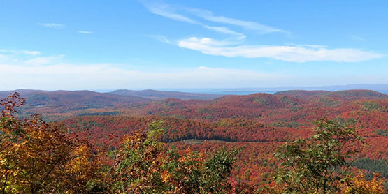 AutumnGloryGuidedHike.Event