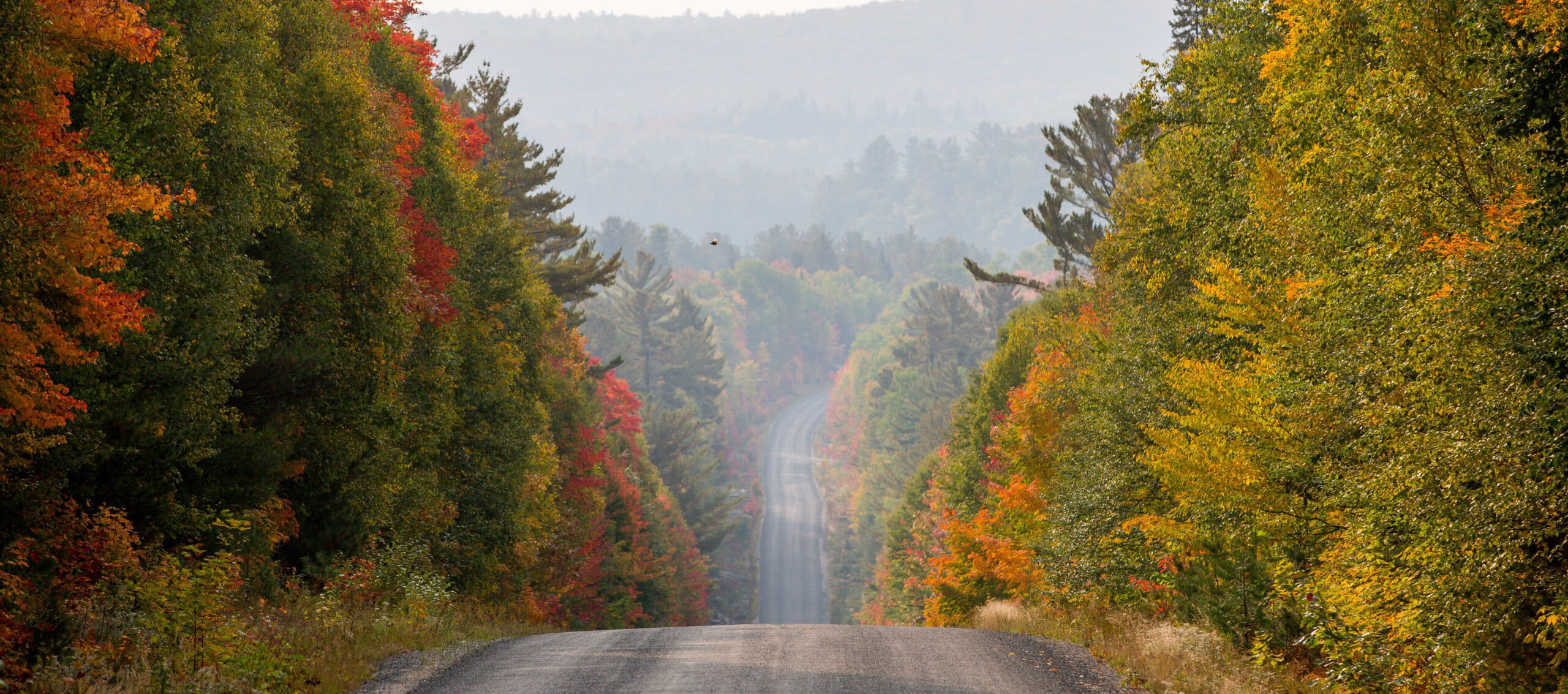 Official Site of Tourism in Algoma Country Northern Ontario, Canada