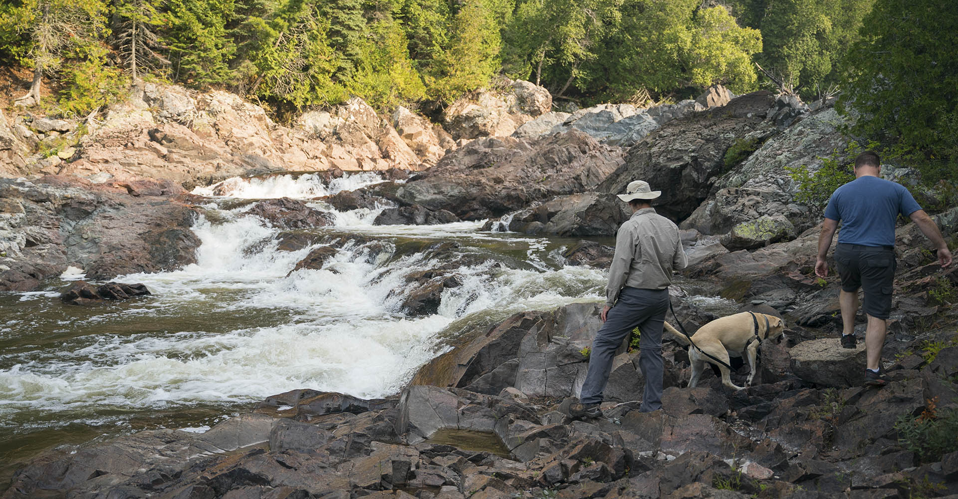 Allure of the Splake - Algoma Country