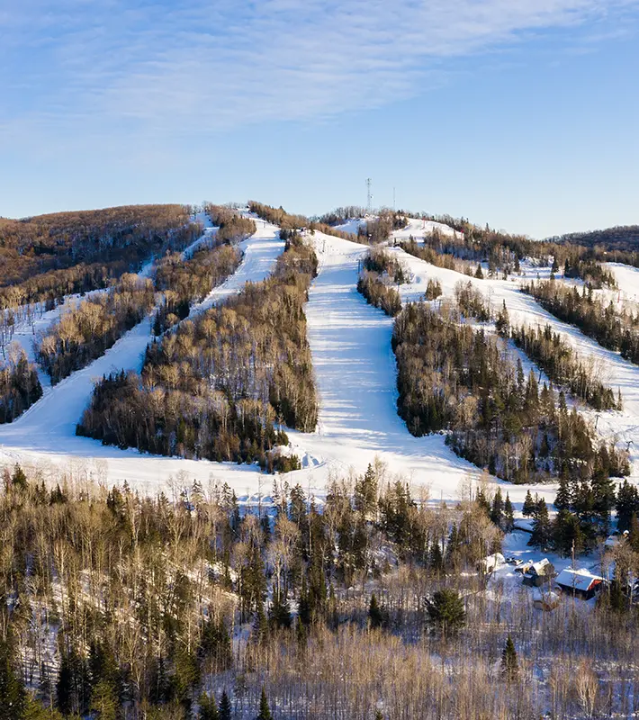 searchmont-intro