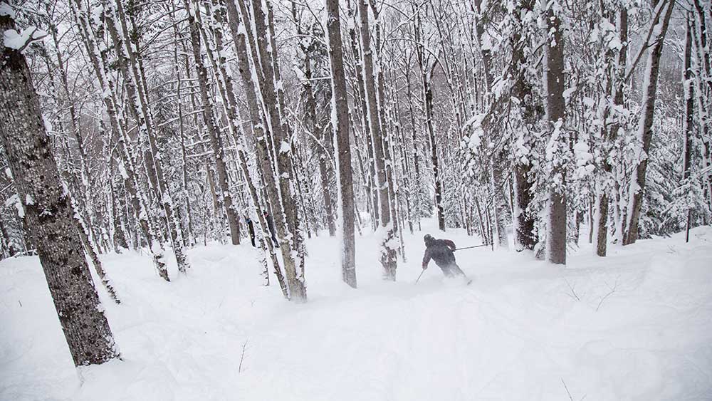 backcountry skiing