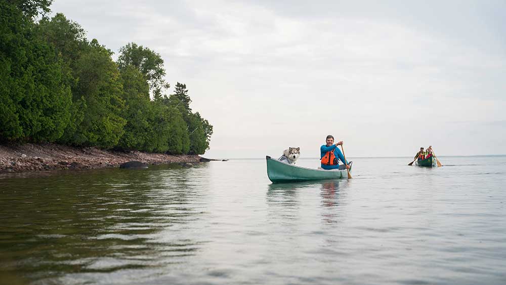 forest the canoe paddling lake superior