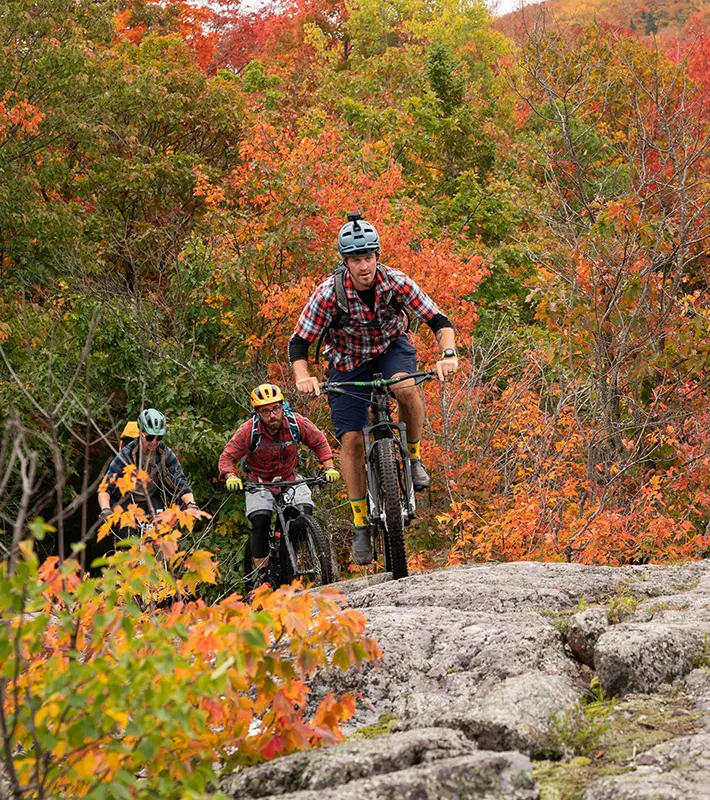 fall-image