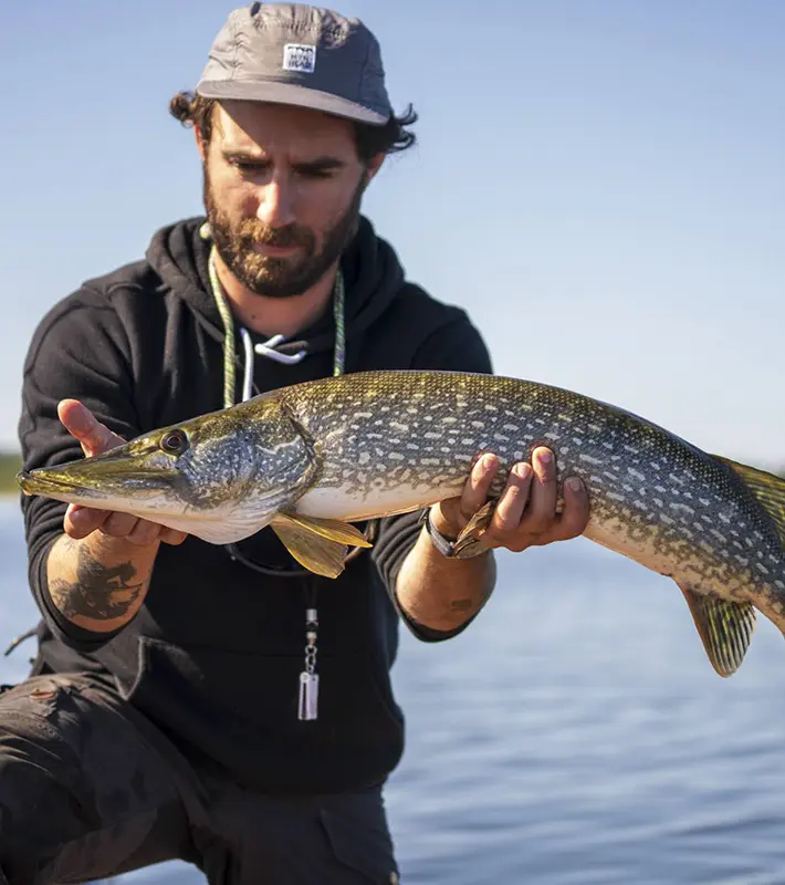 fish-species-northern-pike-img