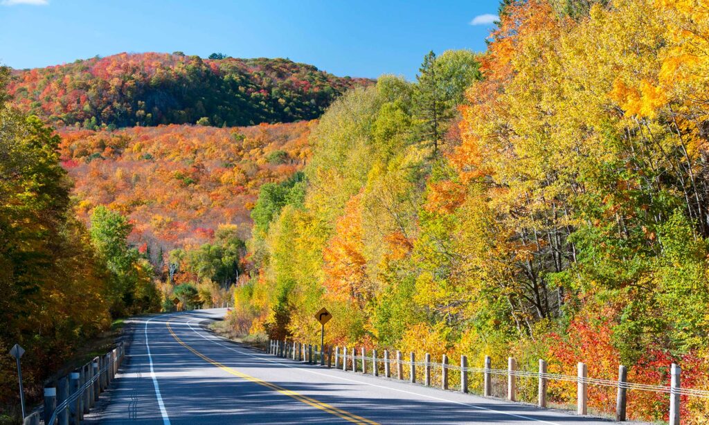 Fall Colour Driving Tours in Algoma
