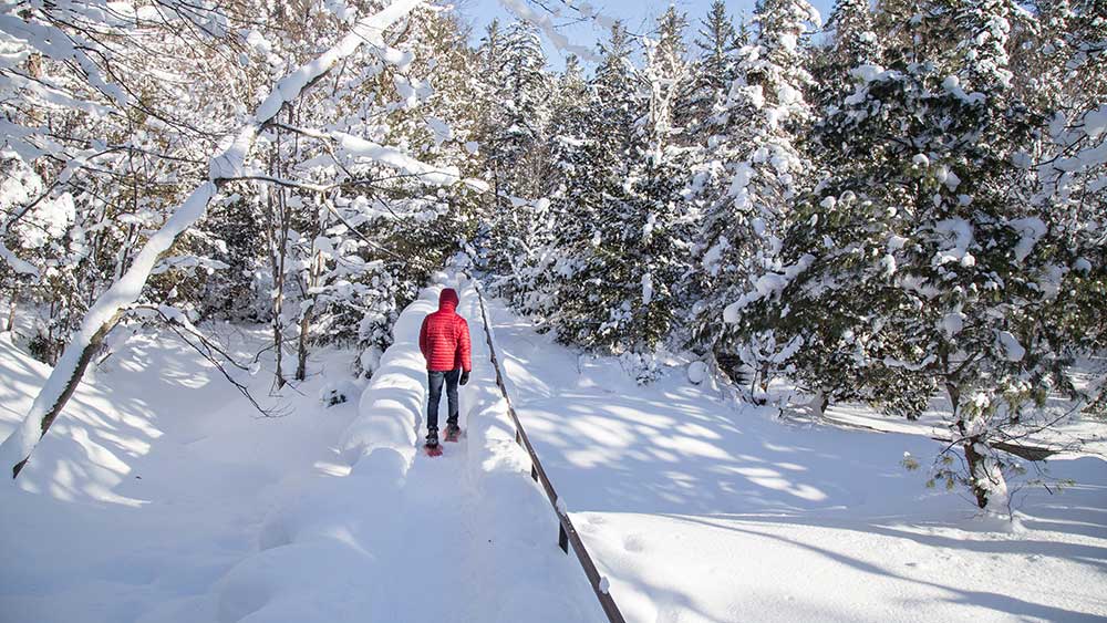 snowshoeing at hiawatha highlands