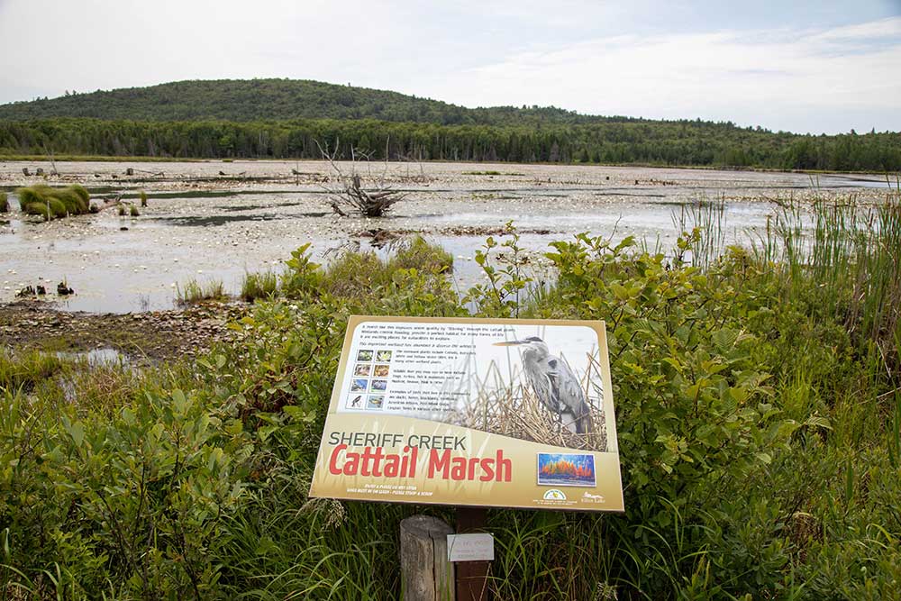 sheriff creek wildlife sanctuary
