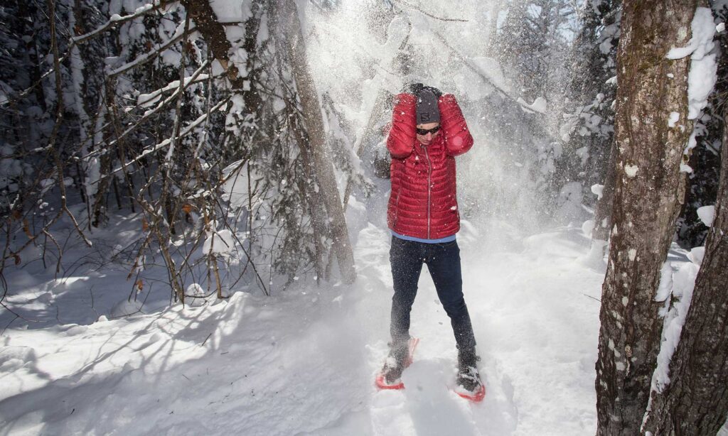 The Algoma Winter Guide