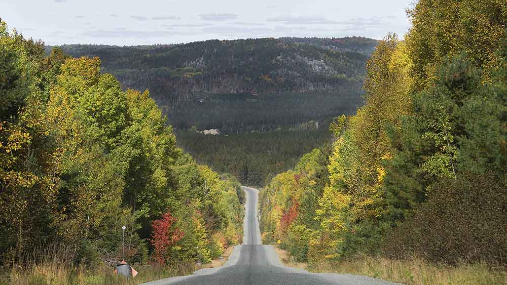 hwy in algoma