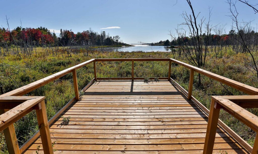 Exciting New Trails In Algoma
