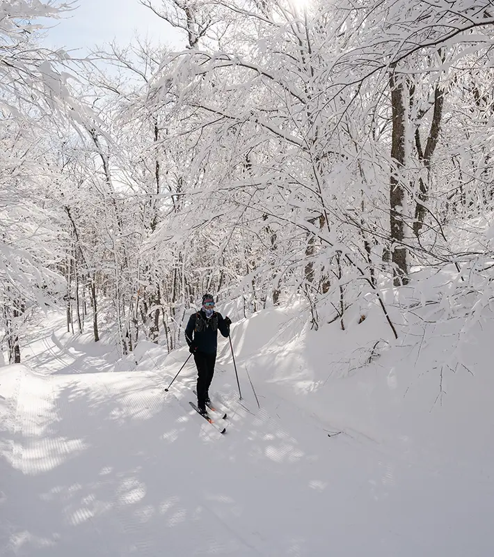 winter-image