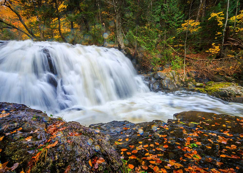 stokely creek falls