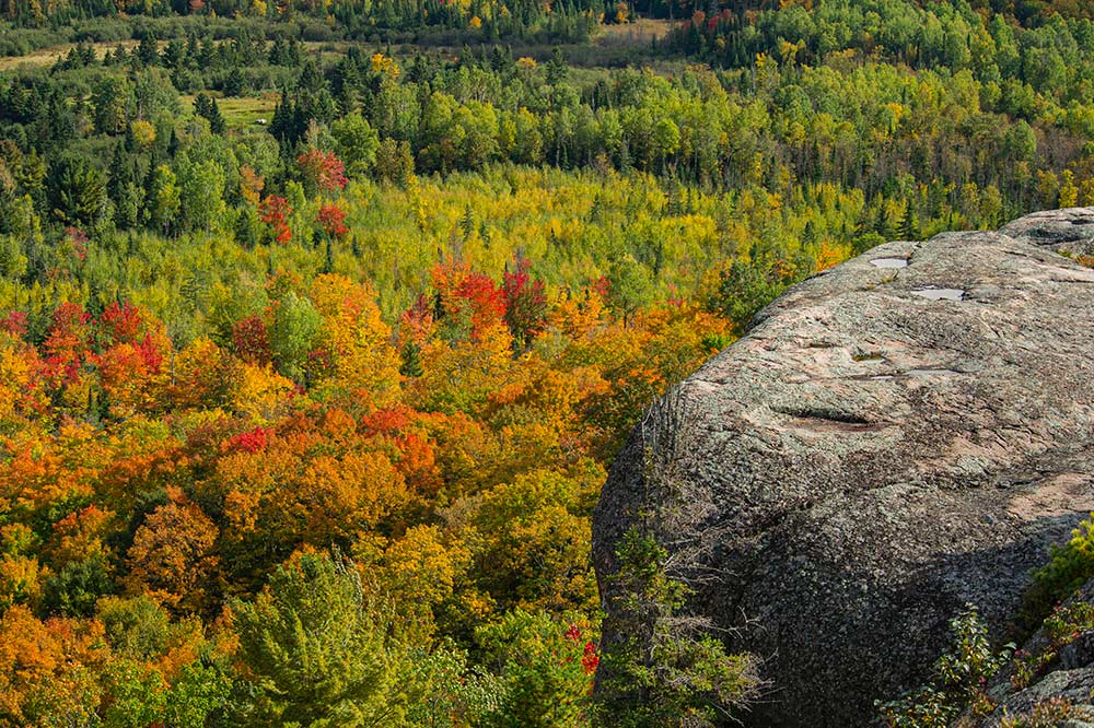 little white river valley