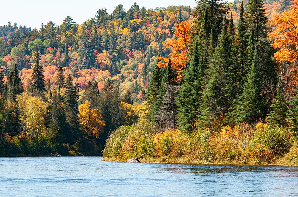 Mississagi River