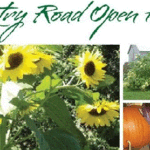 Country Road Open House