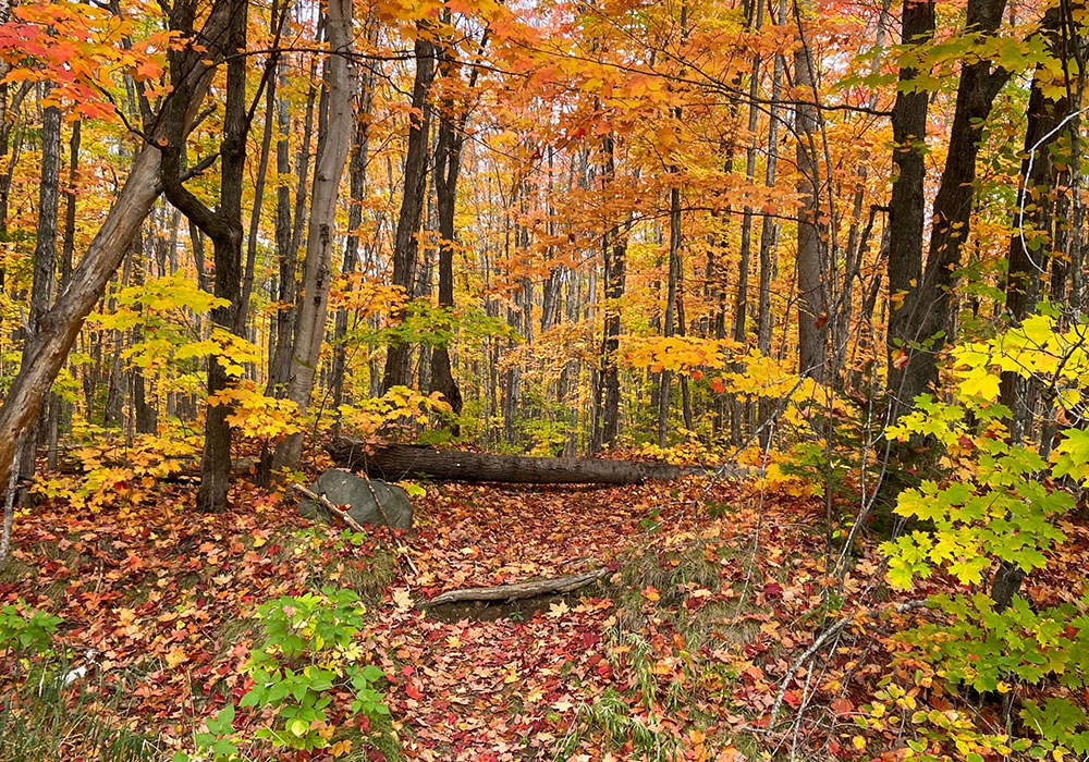 hiking trail
