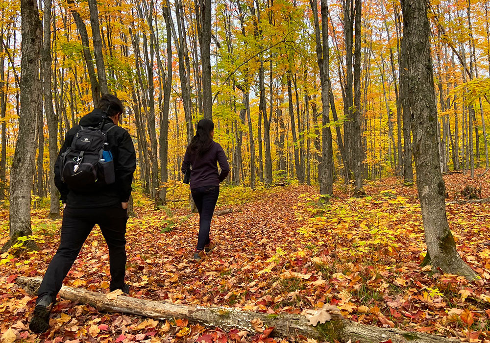 people fall hiking