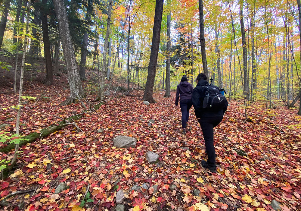 hikers
