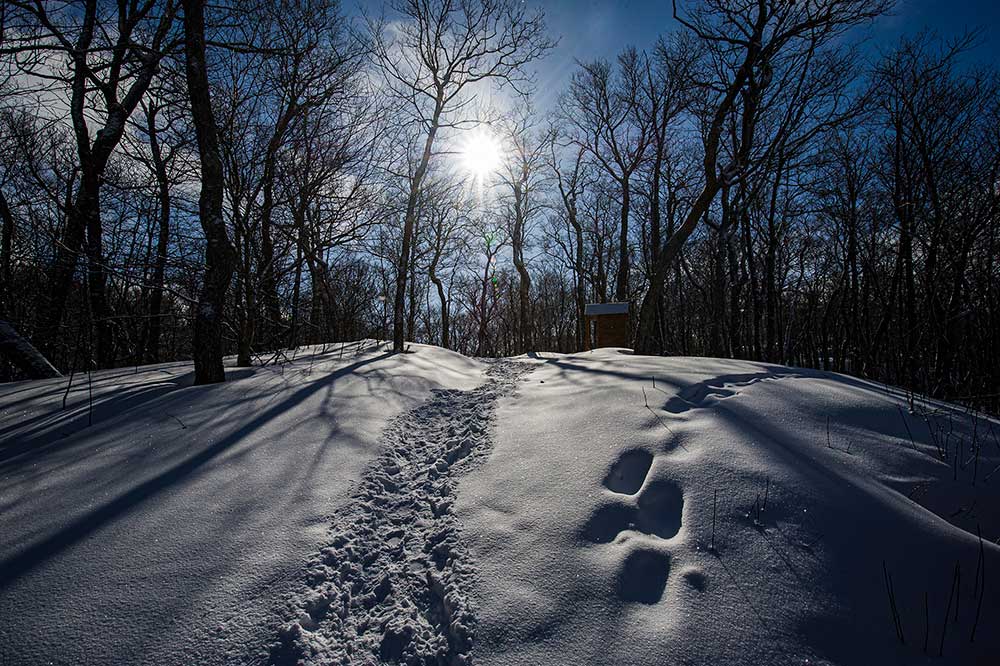 snowshoe trail stokely creek