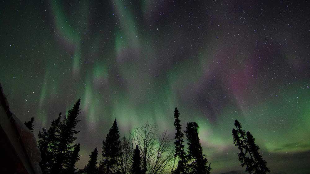 northern lights brace lake outfitters