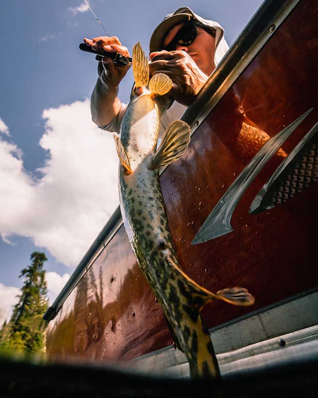 angler bite wire