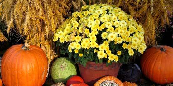 BruceMinesFallFair.Event