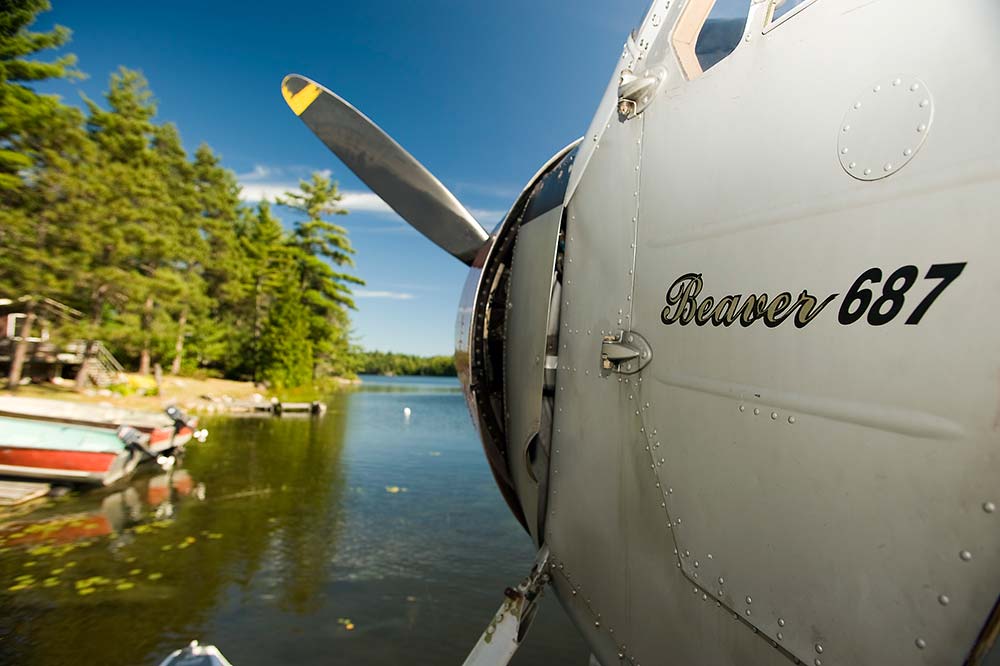 de havilland beaver