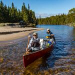 Forest The Canoe