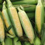 Johnson Farmers’ Market Desbarats