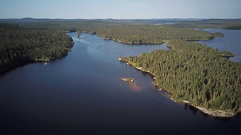 aerial view landscape lake and pine trees