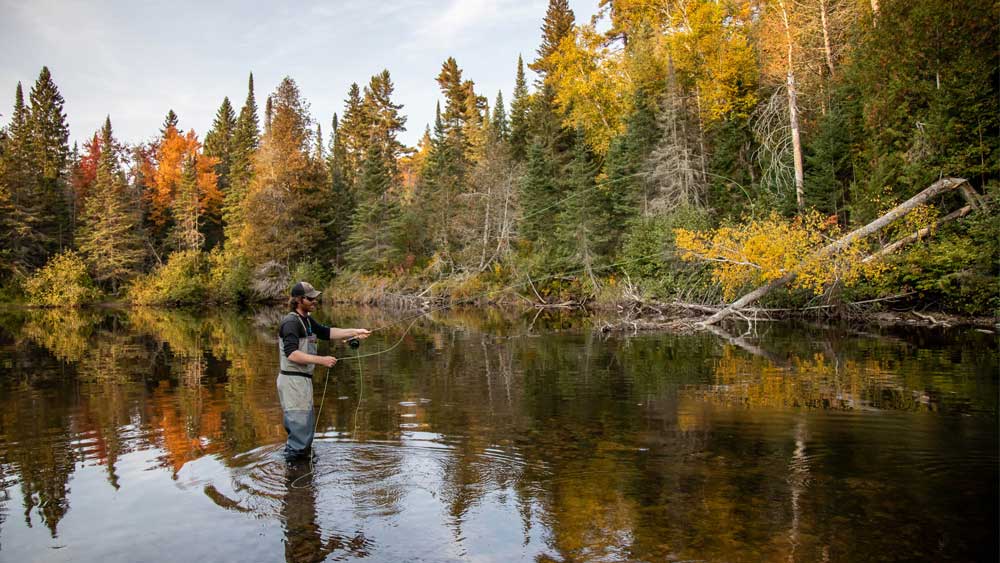 fly fishing stream