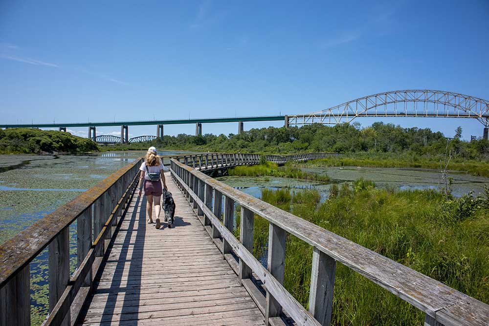 whitefish island walking trails