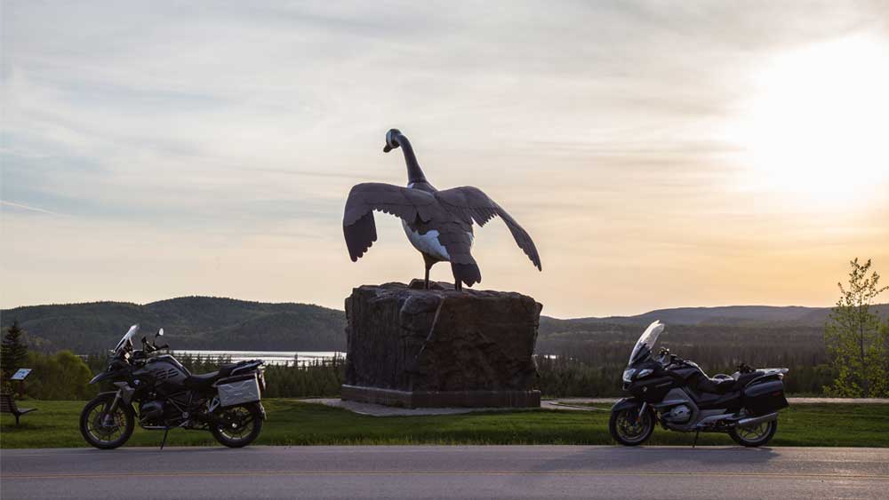 wawa goose monument