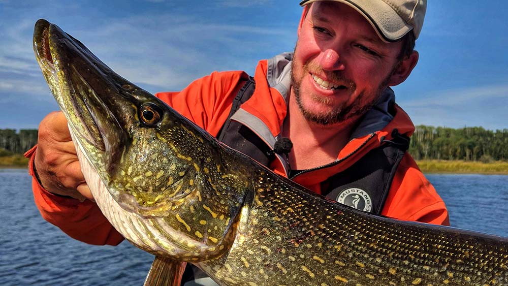 fly fishing northern pike
