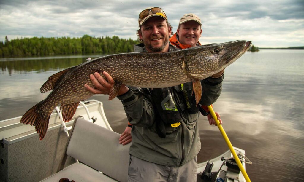 The Elusive Northern Pike of Algoma