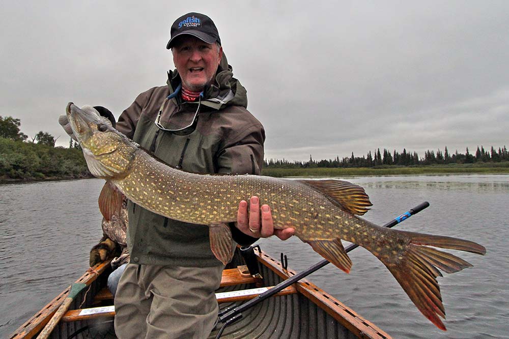 fly fishing northern pike