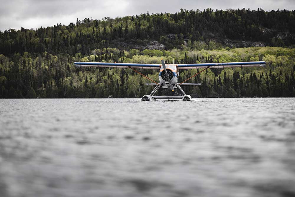 bushplane