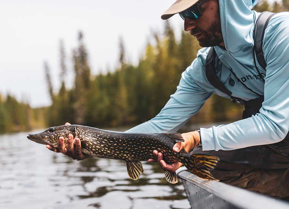 fly fishing northern pike
