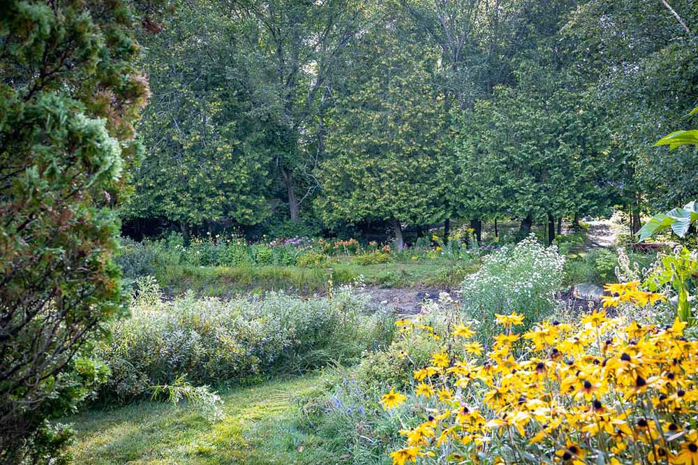 woodland garden