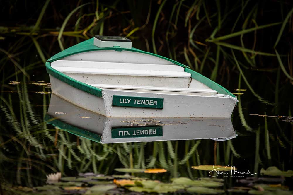 boat in a pond