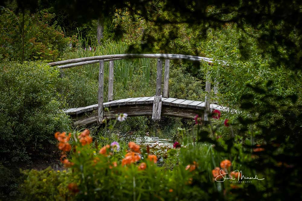 bridge