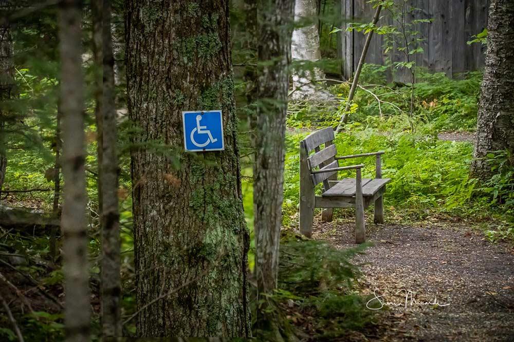 garden bench